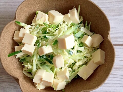 キャベツときゅうりと豆苗と豆腐のマヨ醤油サラダ♪